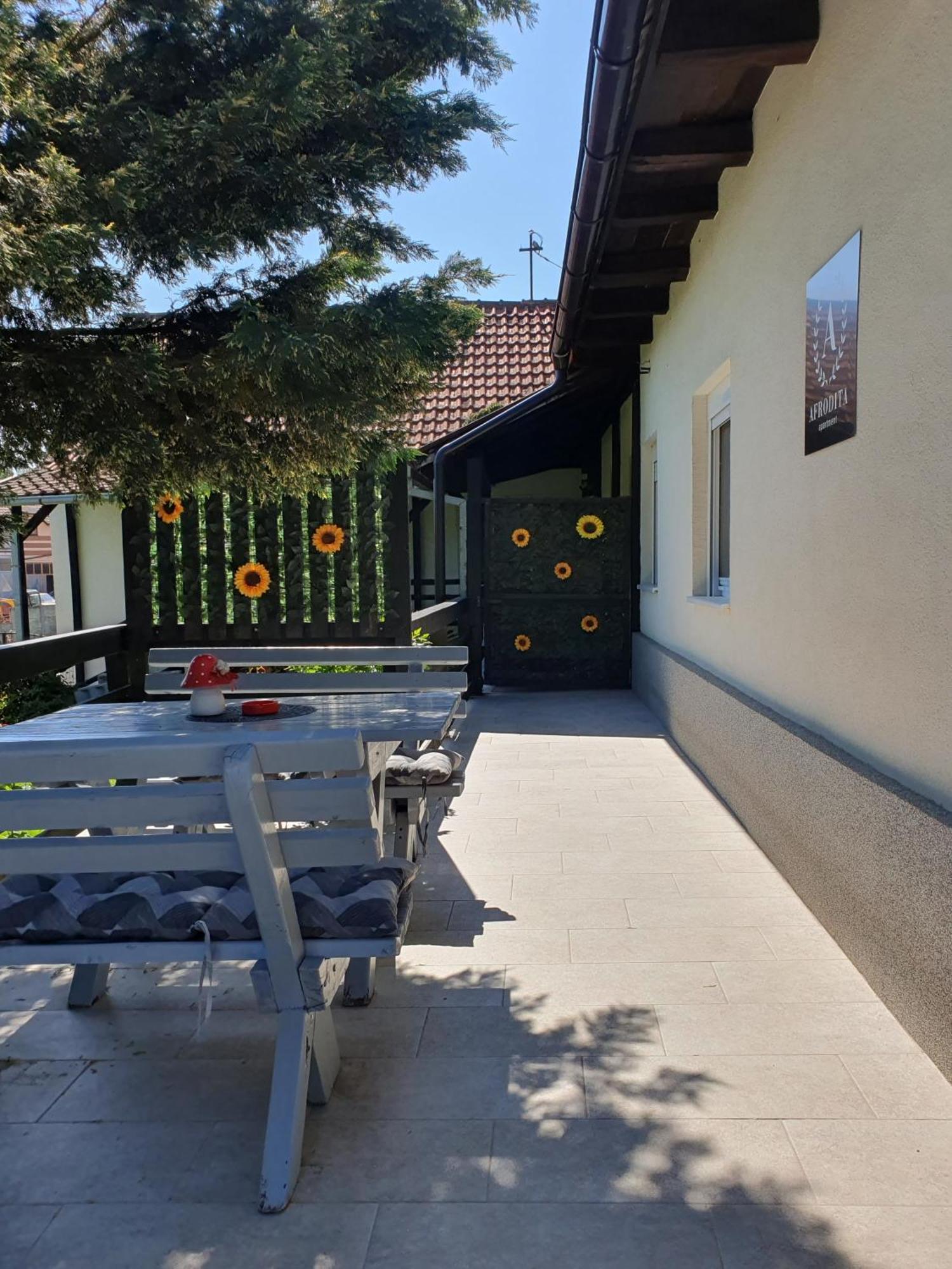 Afrodita Apartment Vrdnik Eksteriør billede
